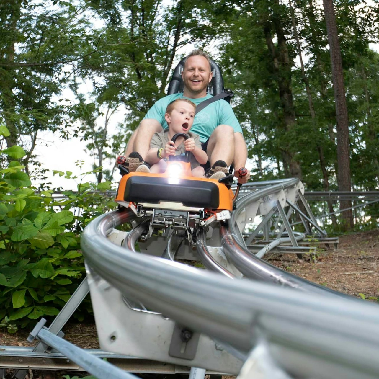 Rocky Top Mountain Coaster - Photo 1 of 8